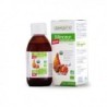 DERMOPHIL STICK A LEVRES SOIN TEINTE POURPE ROSE 4Gr