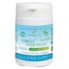 YOUNG HEALTH FIBRES VEGETALES GEL B/60